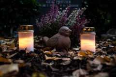 Nordfriedhof_Zwielicht21-61510