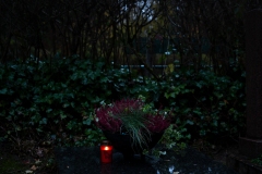 Nordfriedhof_Zwielicht7-1093