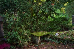 Wie_Nordfriedhof_Oktober12-1110