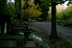 Wie_Nordfriedhof_Oktober18-1144