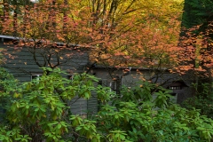 Wie_Nordfriedhof_Oktober20-1160