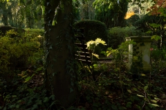 Wie_Nordfriedhof_Oktober3-1052