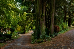 Wie_Nordfriedhof_Oktober8-1082