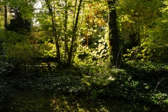 Wie_Nordfriedhof_Oktober9-1085