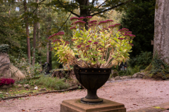Nordfriedhof_Oktober19