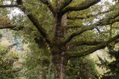Nordfriedhof_Oktober21