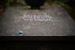 nordfriedhof_oktober_202141