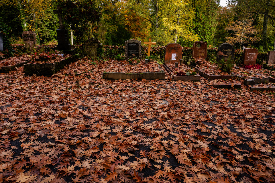 Nordfriedhof_Oktober202215