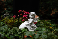 Nordfriedhof_Oktober20221