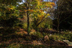 Nordfriedhof_Oktober202210