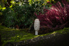Nordfriedhof_Oktober202211