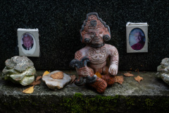 Nordfriedhof_Oktober202212