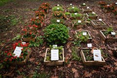 Nordfriedhof_Oktober202218
