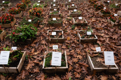 Nordfriedhof_Oktober202219