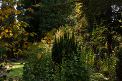 Nordfriedhof_Oktober20226