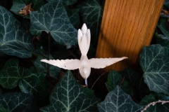 Nordfriedhof_Oktober20227