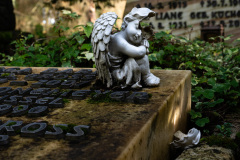 Nordfriedhof_Oktober20229