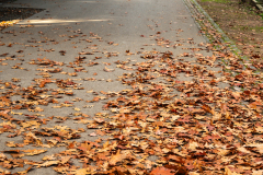 nordfriedhof_oktober242