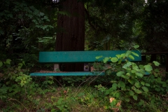 Nordfriedhof_September_2018#12-5125