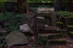 Nordfriedhof_September_2018#13-5127