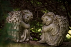 Nordfriedhof_September_2018#8-5096