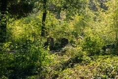 Wie_Nordfriedhof_20200915-1862