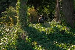 Wie_Nordfriedhof_20200917-1869