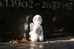 Wie_Nordfriedhof_2020095-1753