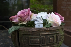 blumen_engelchen-9360