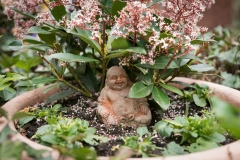 buddha-9231