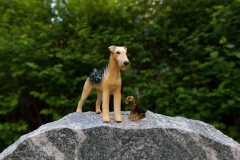 hunde-9420