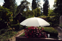 Nordfriedhof-August-2025-1003661