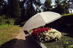 Nordfriedhof-August-2025-1003664