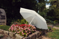 Nordfriedhof-August-2025-1003667