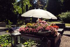 Nordfriedhof-August-2025-1003673