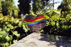 Nordfriedhof-August-2025-1003686