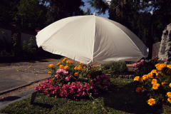 Nordfriedhof-August-2025-1003695