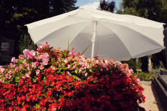 Nordfriedhof-August-2025-1003699