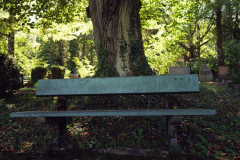 Nordfriedhof-August-2025-1003702