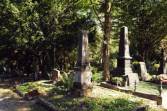 Nordfriedhof-August-2025-1003703