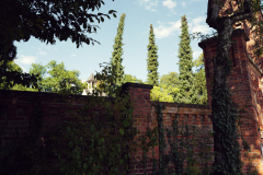 Nordfriedhof-August-2025-1003709