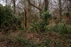 Ostfriedhof18