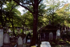 pere_lachaise#10-2845