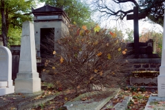 pere_lachaise#4-2829