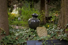 Nordfriedhof_April_2018#16-9316