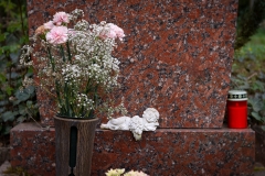 Nordfriedhof_April_2018#18-9326