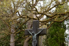 Nordfriedhof_April_2018#30-9392