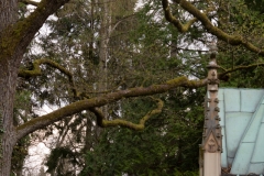 Nordfriedhof_April_2018#32-9396