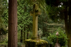 Nordfriedhof_April_2018#35-9401