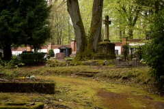 Nordfriedhof_April_2018#37-9405